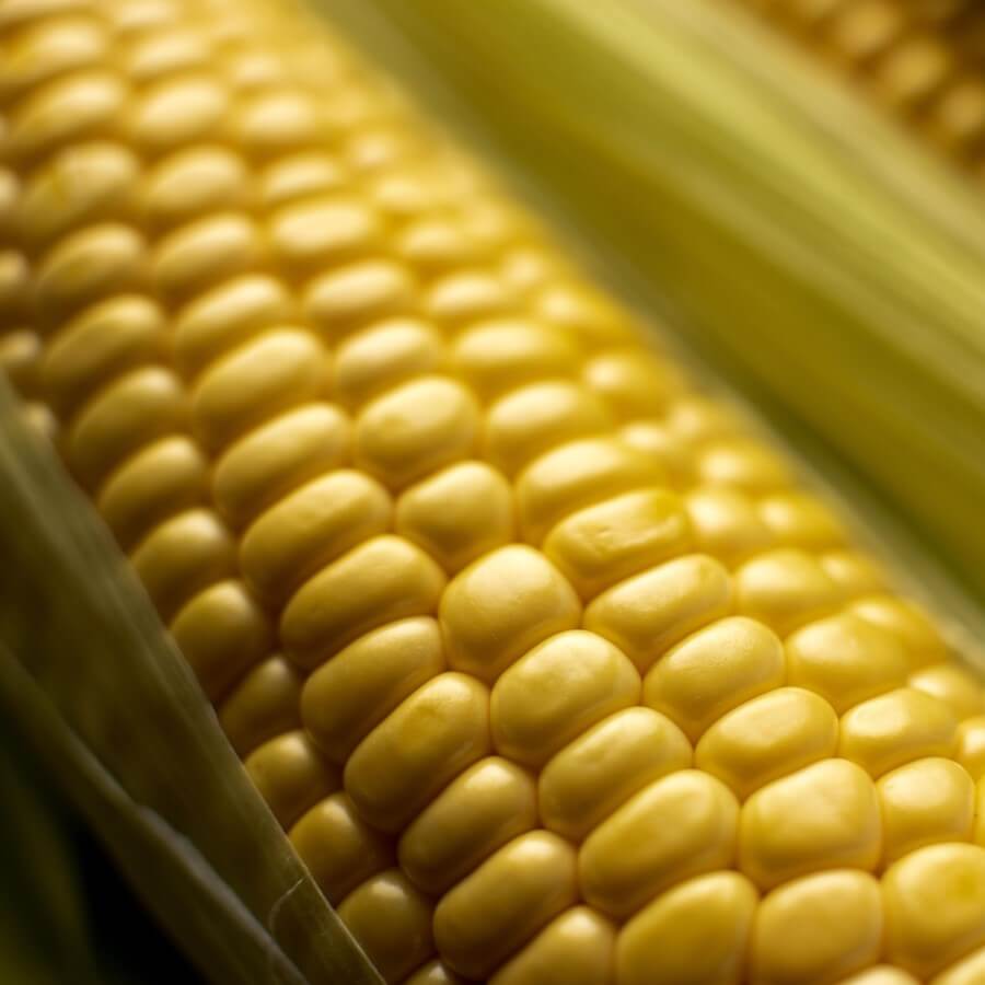 Agricultural Products Infiniti Xchange Africa agricultural-products-infiniti-xchange-africa